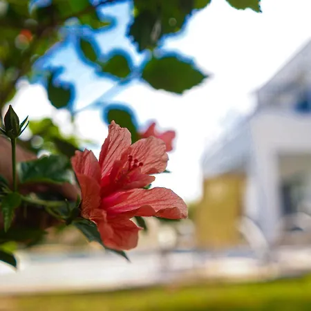 Villa Azzurro Holiday Villa Artemis By Sanders